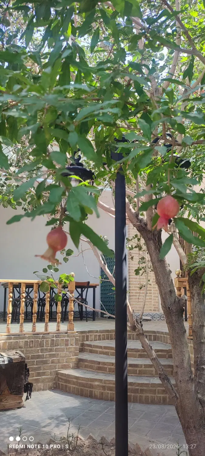 سیم 8808 800 0919|سیمکارت|تهران, حمزهآباد|دیوار