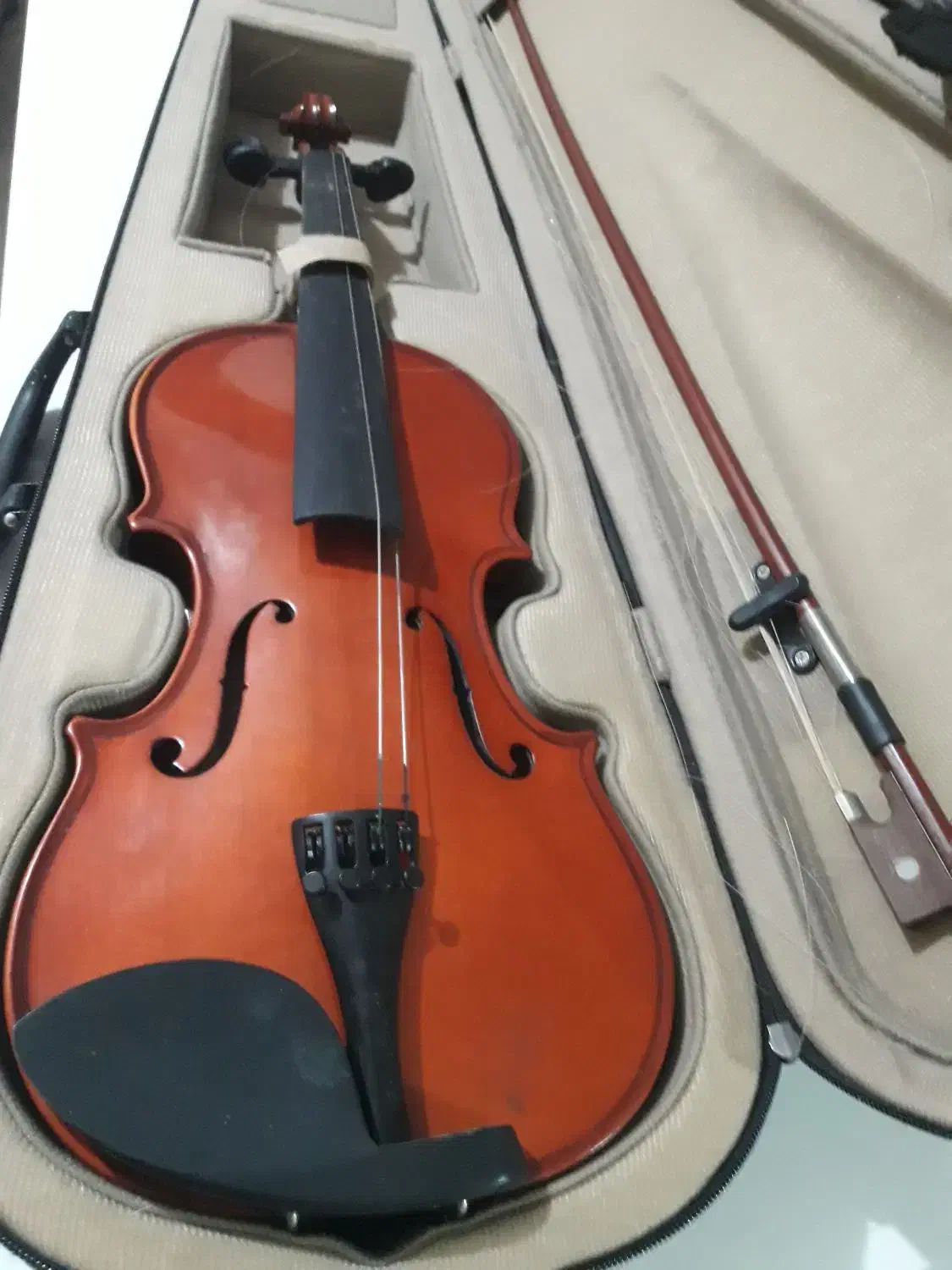 ویالن|ویولن|رشت, ساغری سازان|دیوار