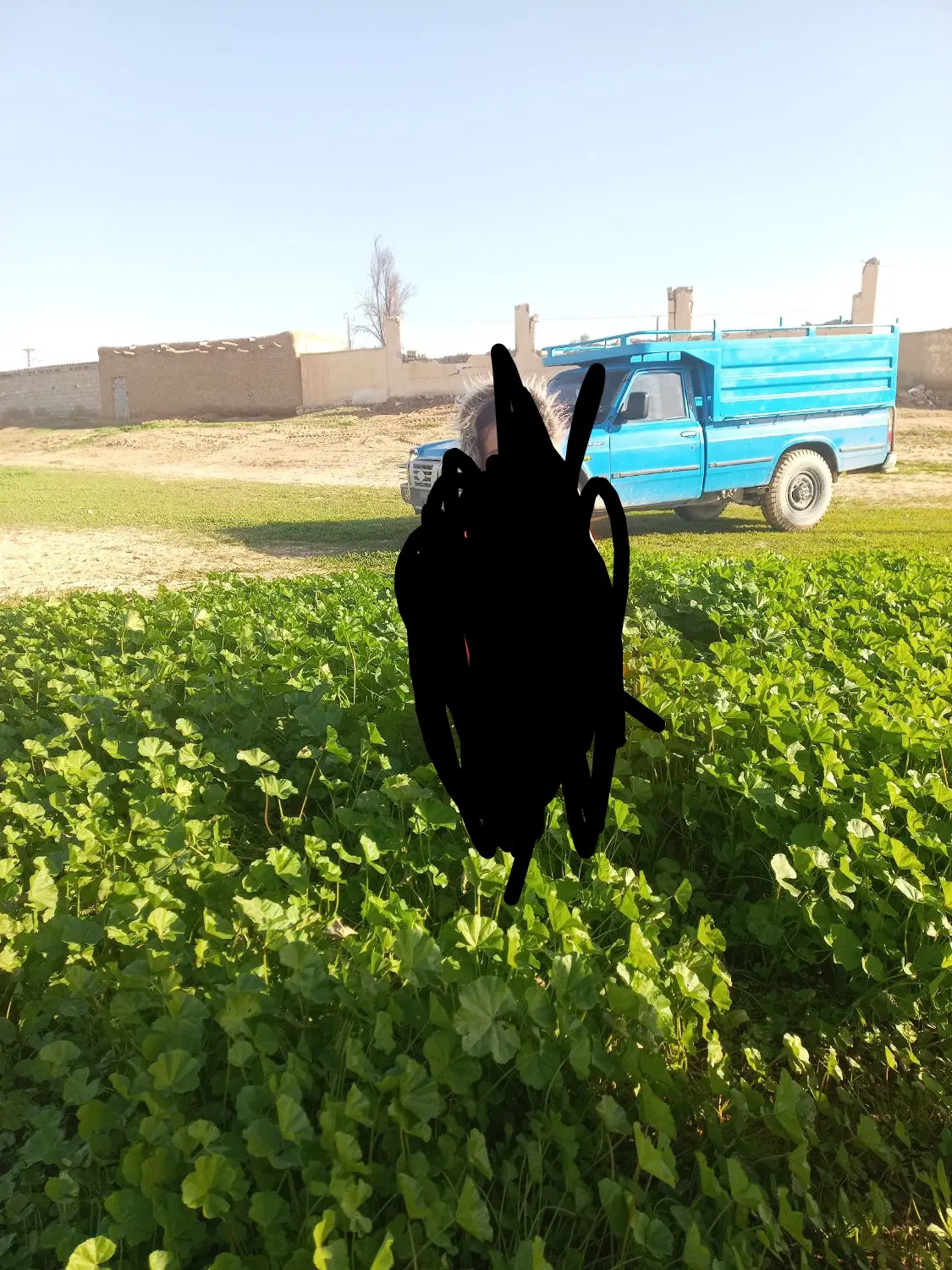 نیسان ۹۳|خودرو سواری و وانت|ایذه, |دیوار