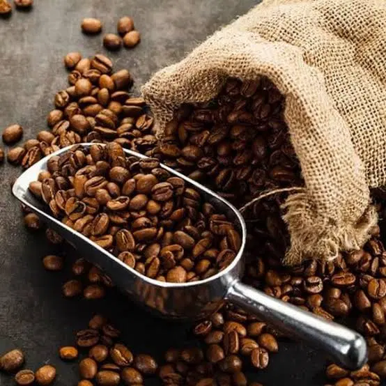 دان قهوه|عمدهفروشی|میناب, |دیوار