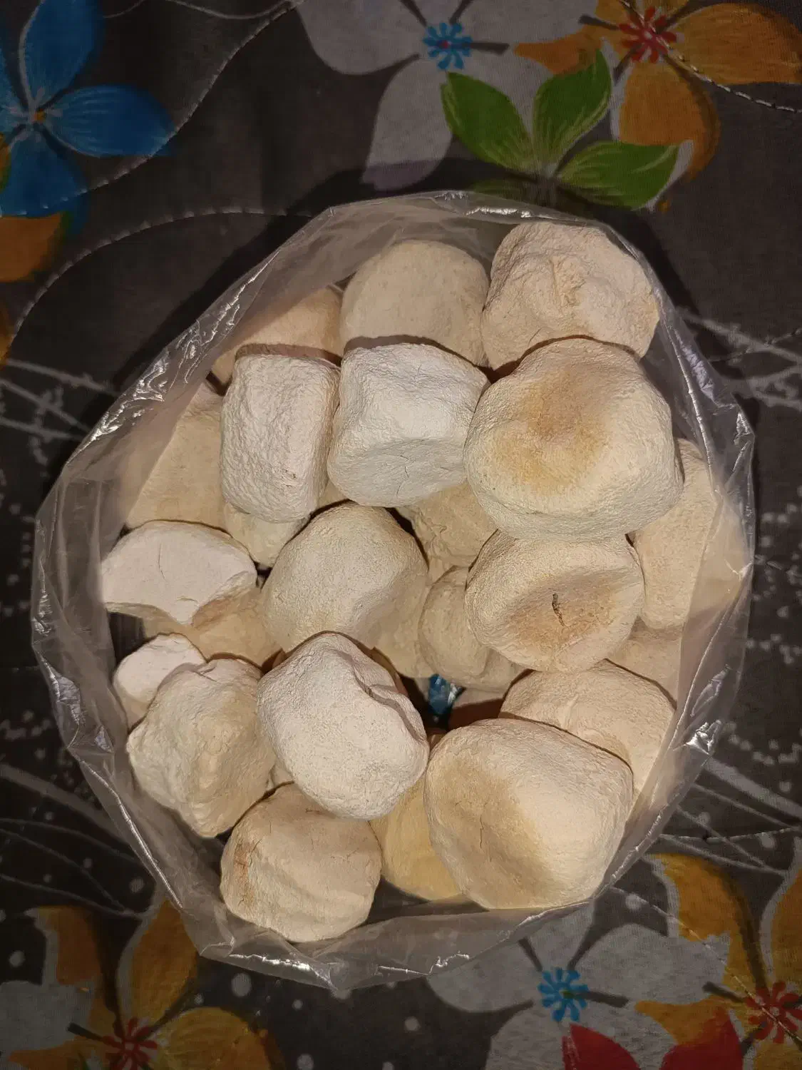 کشک محلی|خوردنی و آشامیدنی|کنگاور, |دیوار