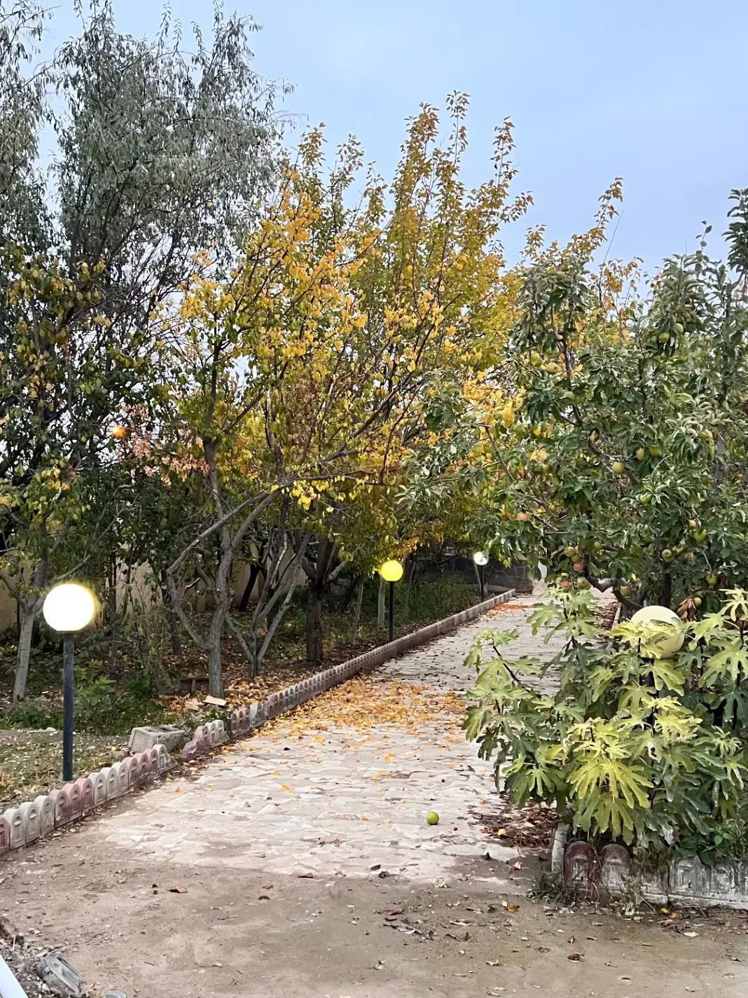۶۵۰متر باغ با سهمیه آب در شهرک ویلایی قیمت منصفانه|فروش زمین و ملک کلنگی|مشهد, درزآب|دیوار