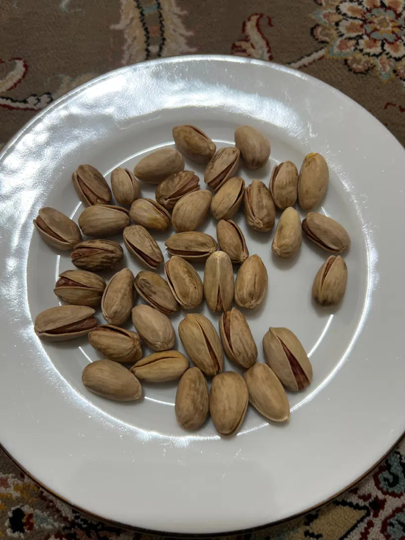 پسته|خدمات باغبانی و درختکاری|چغادک, |دیوار