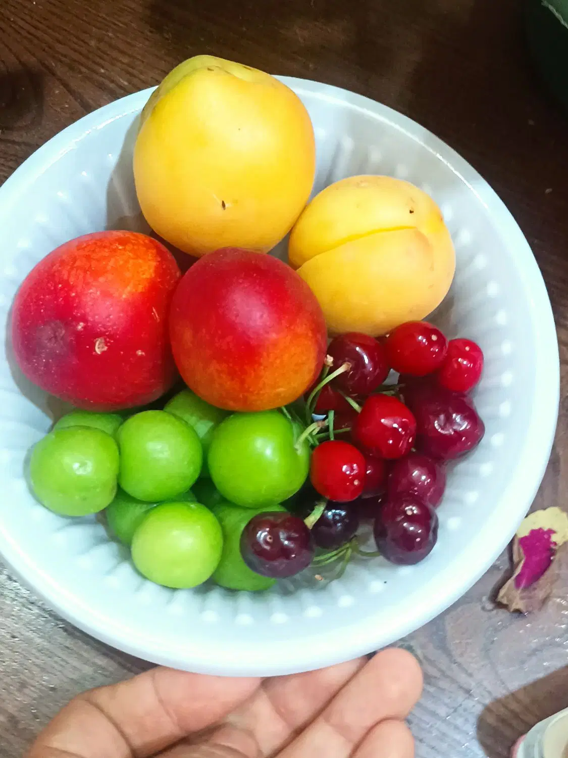 گیلاس|خوردنی و آشامیدنی|مشهد, سیسآباد|دیوار