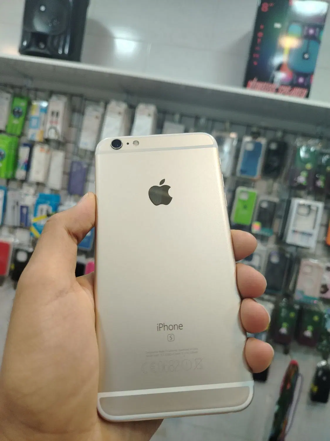 IPhone 6s plus|موبایل|قم, نیروگاه|دیوار
