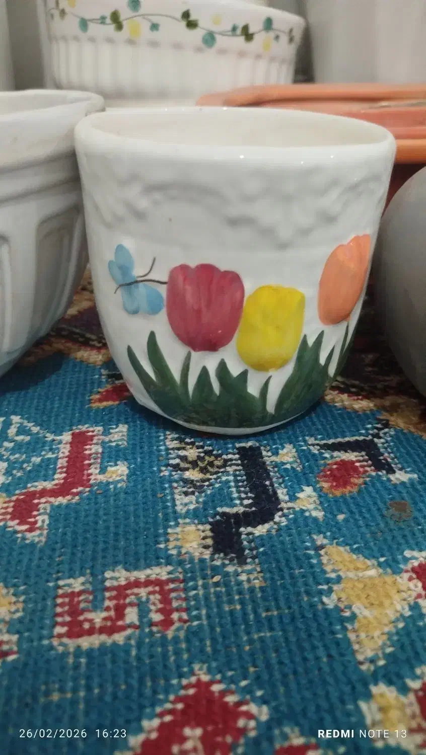 گلدان|گل و گیاه طبیعی|قم, باغ شریفی|دیوار