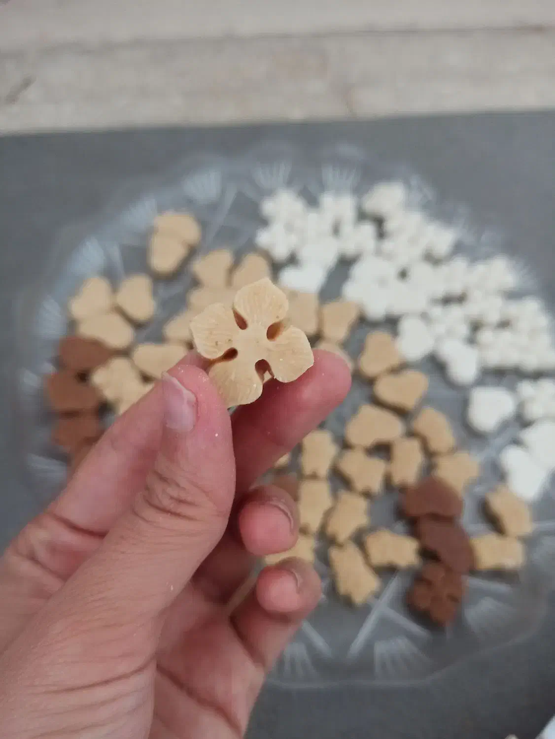 قندگیاهی|خوردنی و آشامیدنی|قم, ناصردیوان|دیوار