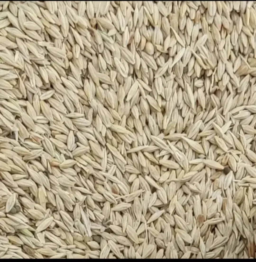 جو کوار|عمده‌فروشی|کوار, |دیوار