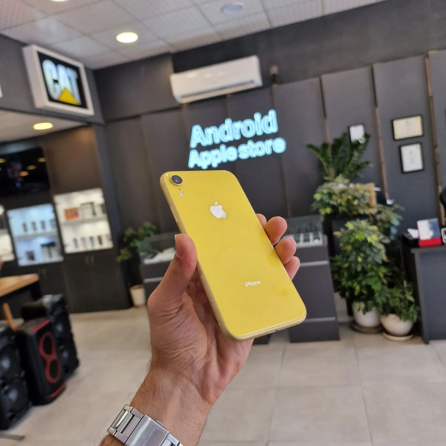 iPhone xR تمیز|موبایل|شیراز, عفیف‌آباد|دیوار
