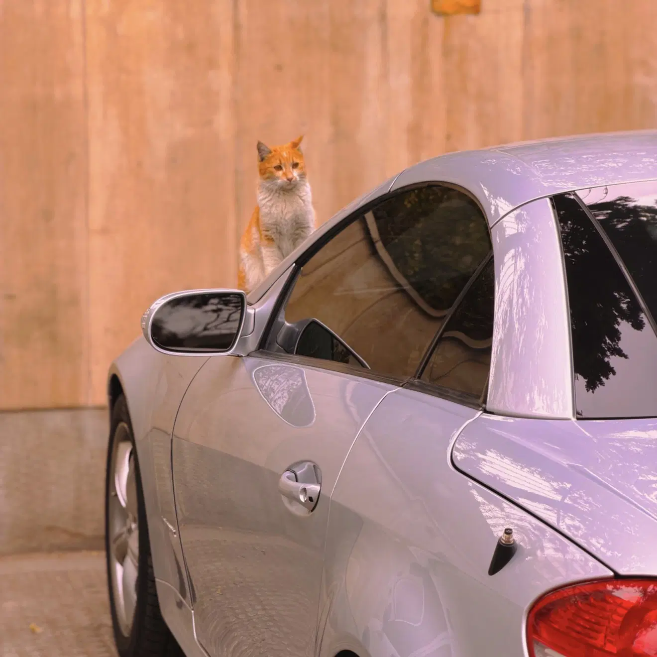 Mercedes-Benz SLK 200 Kompressor|خودرو سواری و وانت|تهران, جردن|دیوار