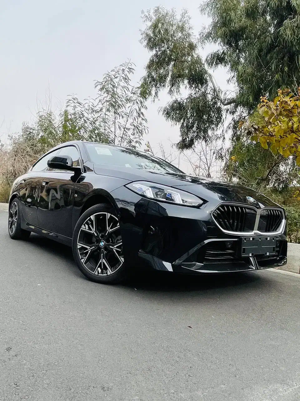 BMW 225L|خودرو سواری و وانت|تهران, مرزداران|دیوار