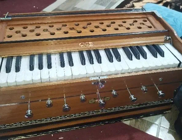 هارمونی ارمنی|سازهای بادی|مشهد, راهنمایی|دیوار