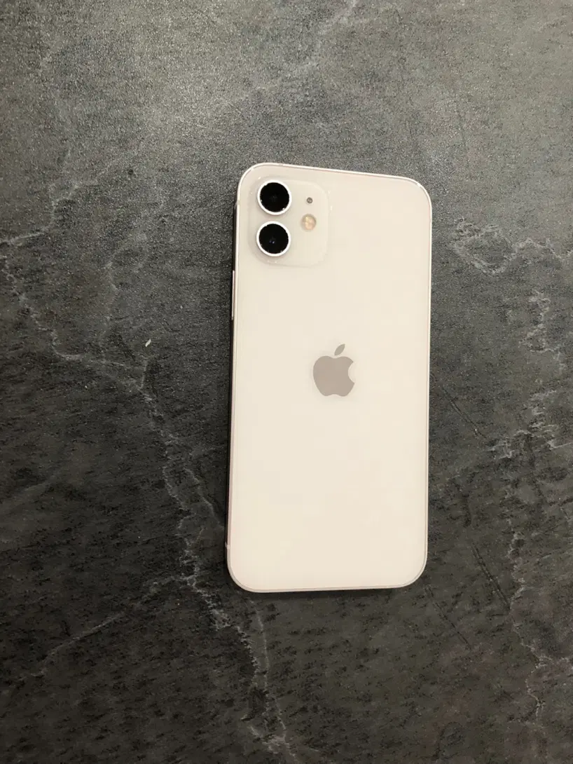 Iphone12 normal 128 2sim|موبایل|رشت, دیلمان|دیوار