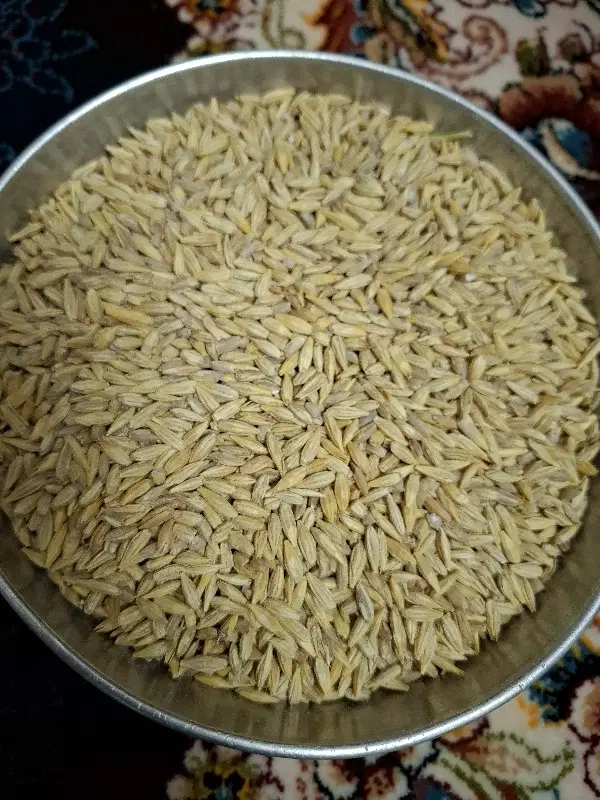 جو پاییزه|خوردنی و آشامیدنی|اصفهان, امیرعرب|دیوار