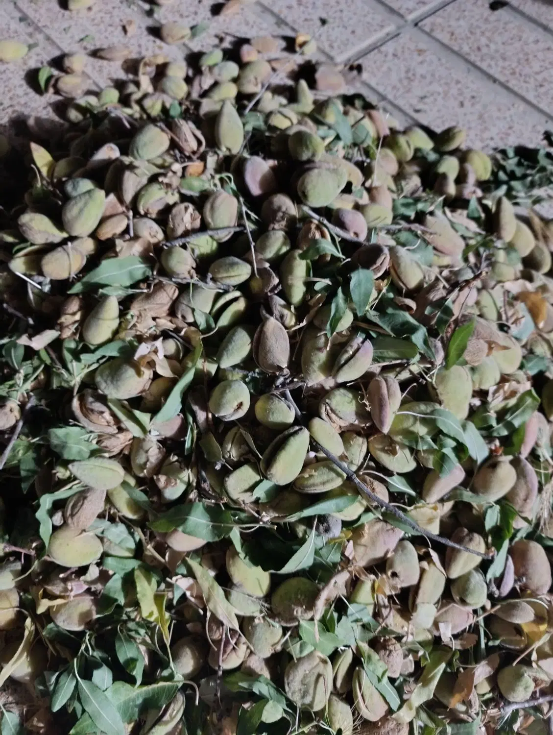 بادام|خوردنی و آشامیدنی|خمین, |دیوار