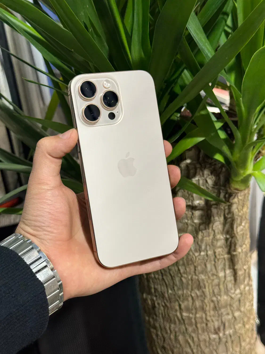 16ProMax 256|موبایل|مشهد, بهشت|دیوار