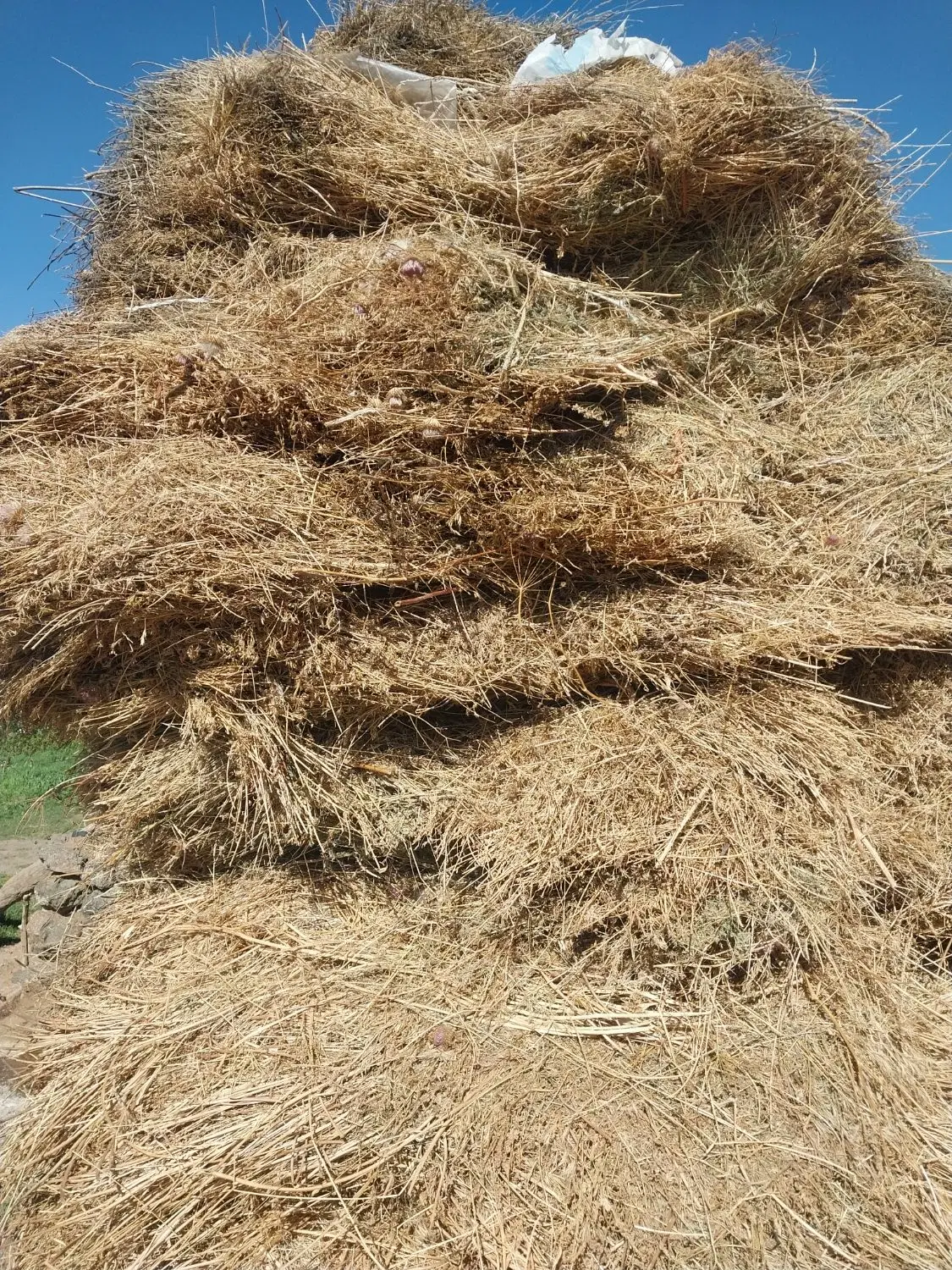 یونجه|لوازم جانبی حیوانات|هیر, |دیوار