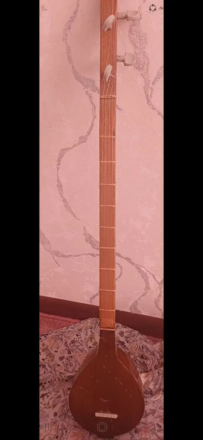 سه تار|سازهای سنتی|باغستان, |دیوار