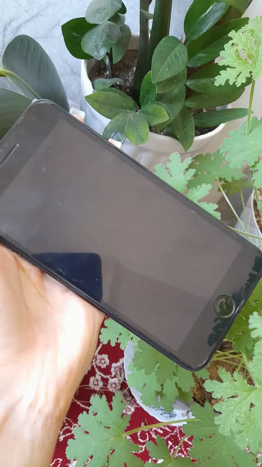 IPhone 7plus 128|موبایل|کرج, حسینآباد|دیوار