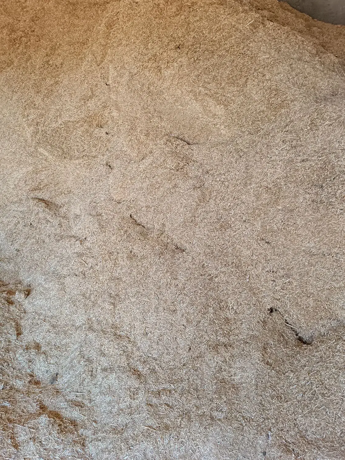 کاه دیم|لوازم جانبی حیوانات|الیگودرز, |دیوار