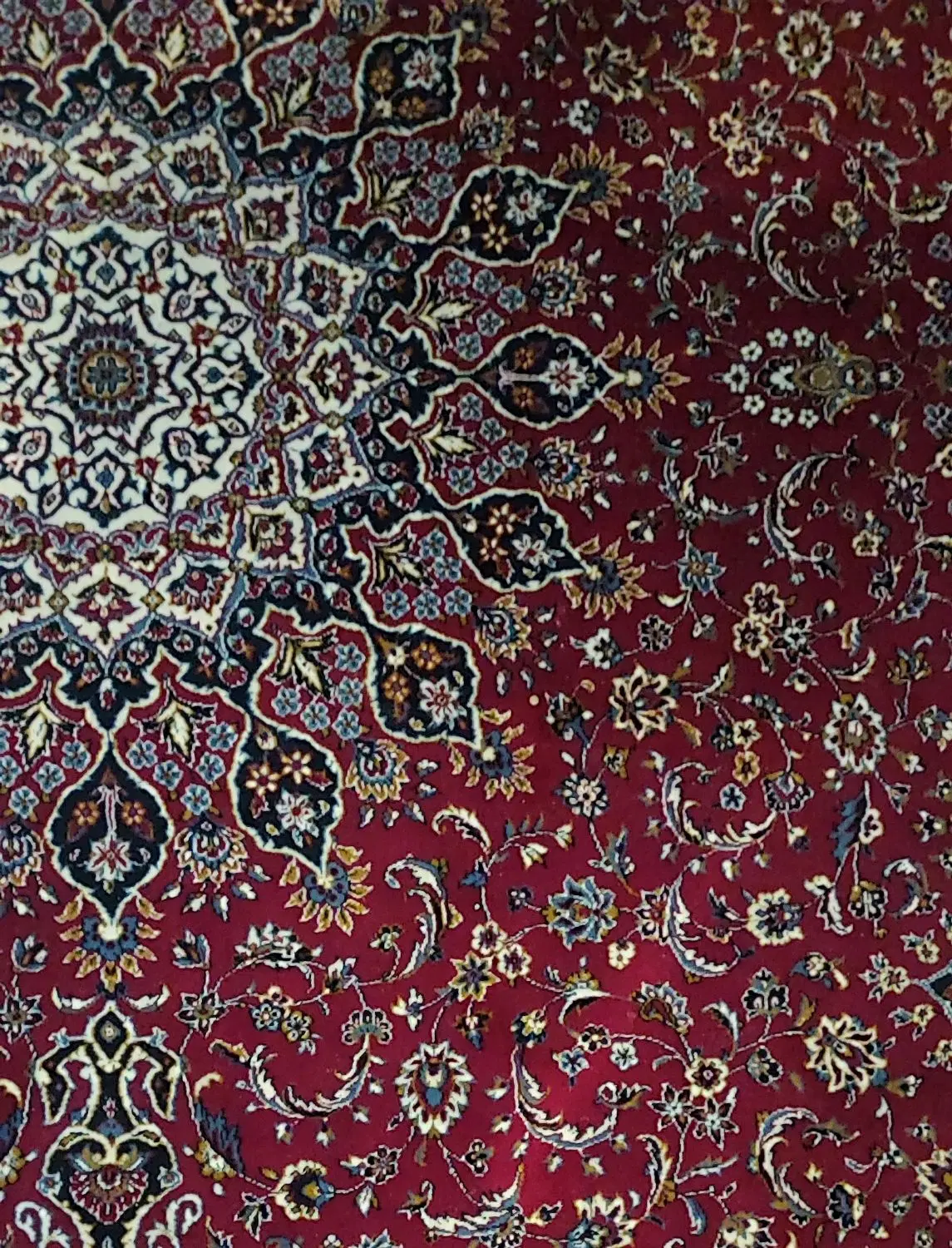 فرش ۹|فرش|بوشهر, |دیوار