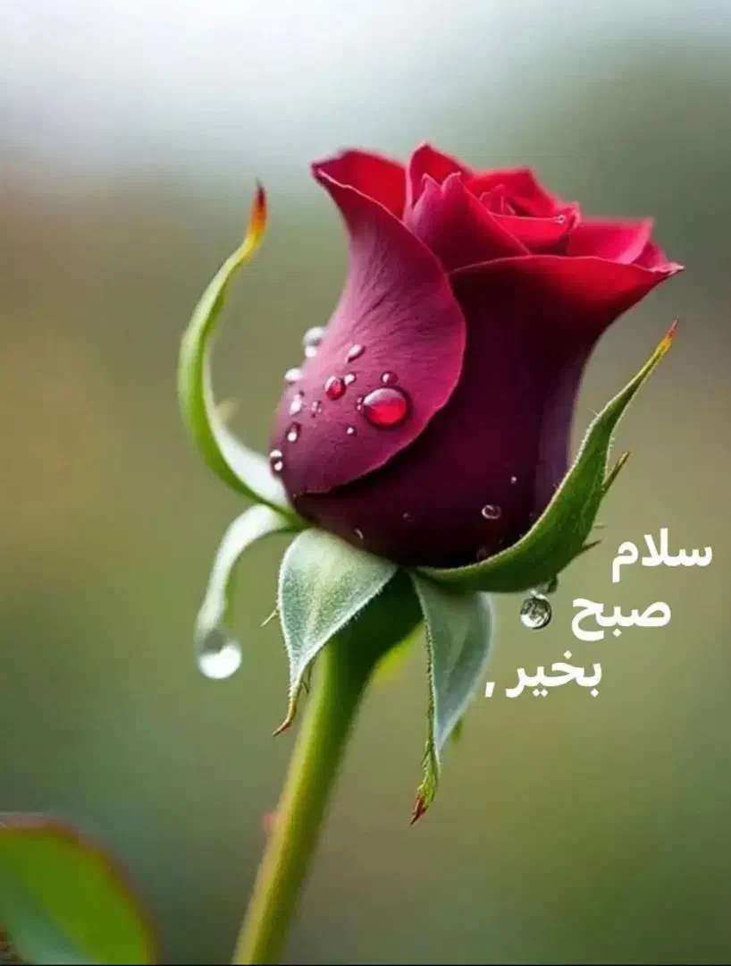 9121003189|سیم‌کارت|تهران, بهمن یار|دیوار