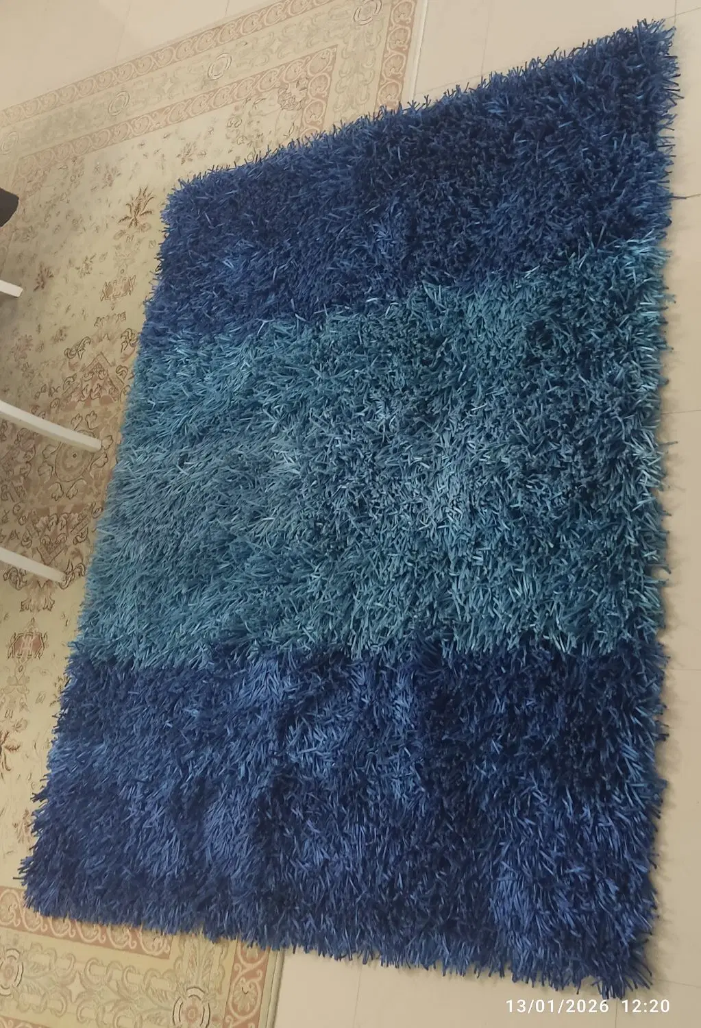 فرش شگی|فرش|کرج, باغستان|دیوار