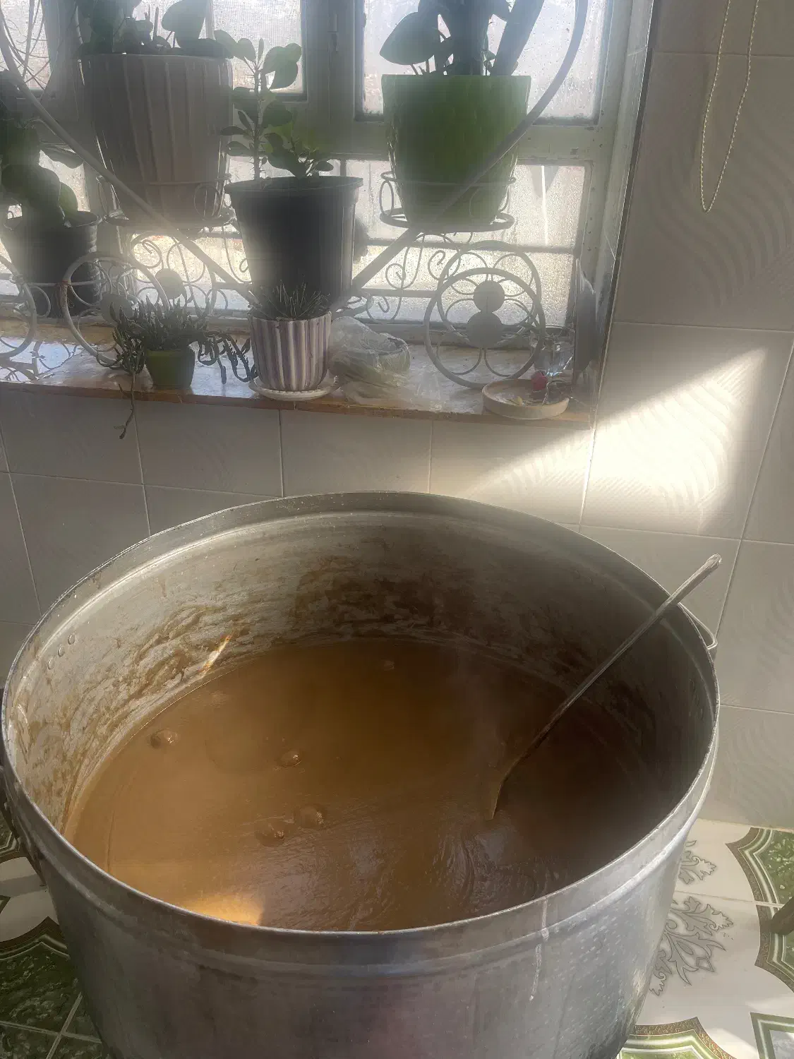 سمنو|عمدهفروشی|یاسوج, |دیوار