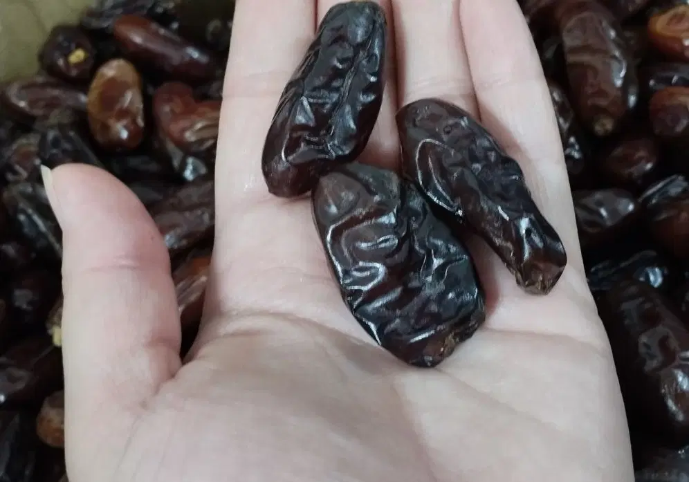خرما|خوردنی و آشامیدنی|کرج, باغستان|دیوار