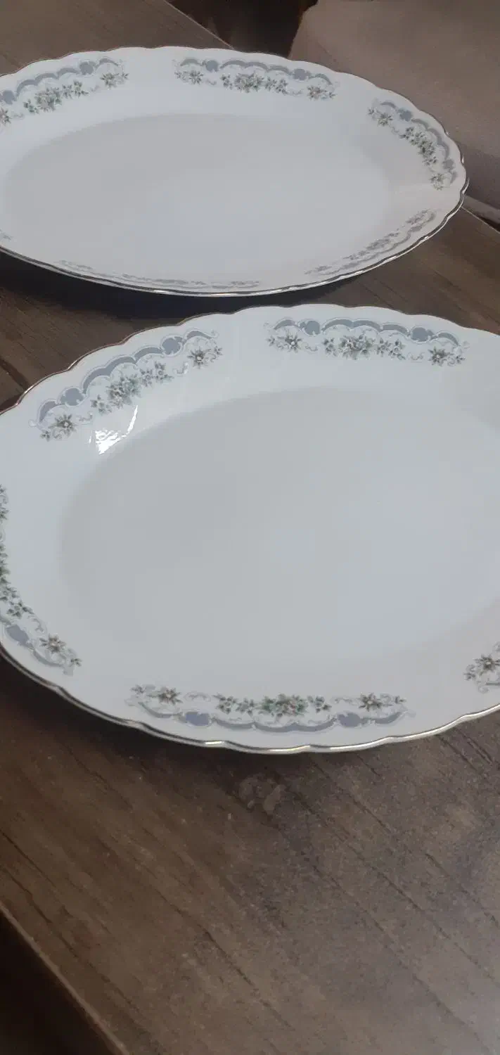 دیس|ظروف سرو و پذیرایی|رشت, فلسطین|دیوار