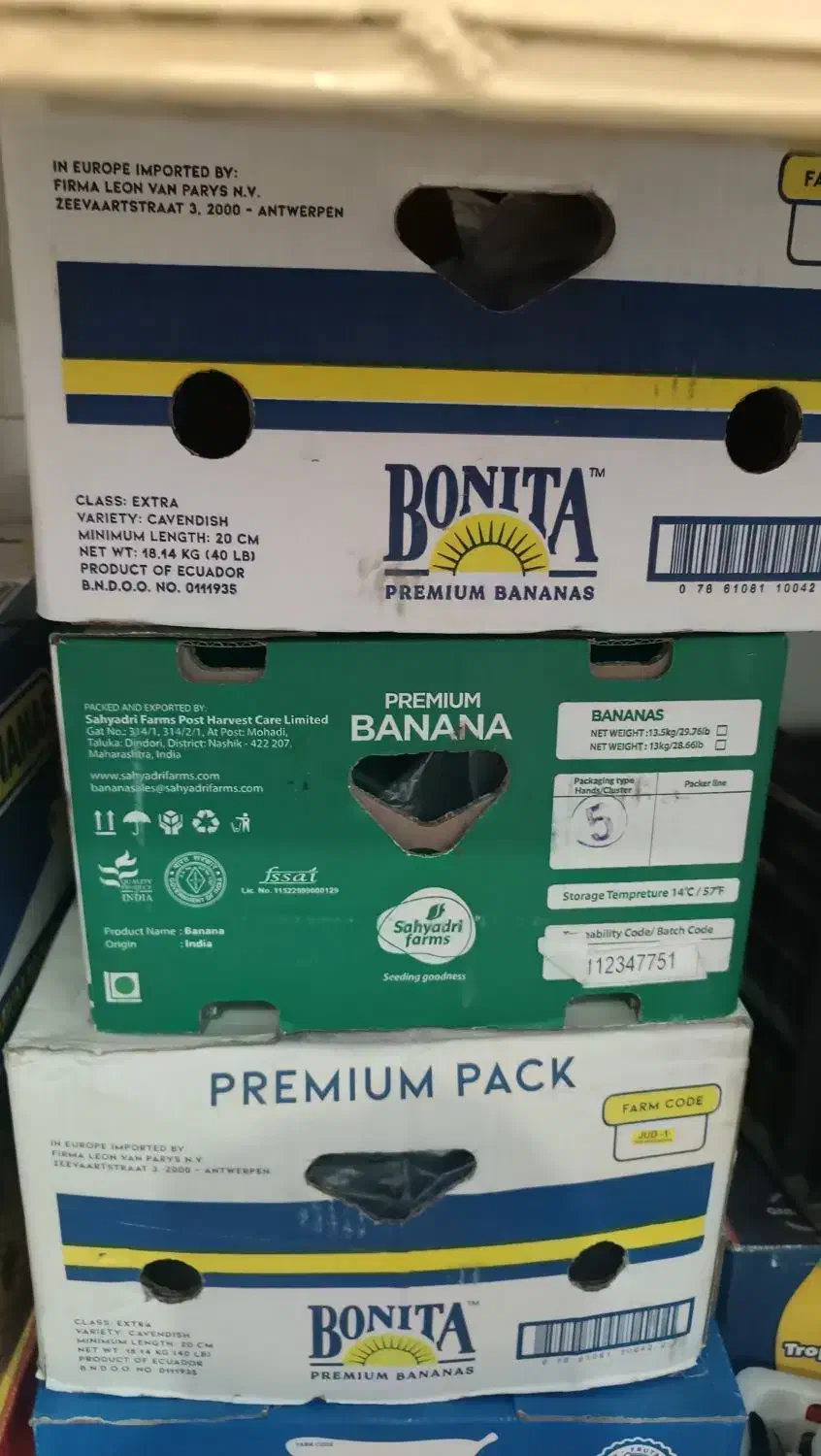 کارتن موز|عمدهفروشی|دهگلان, |دیوار