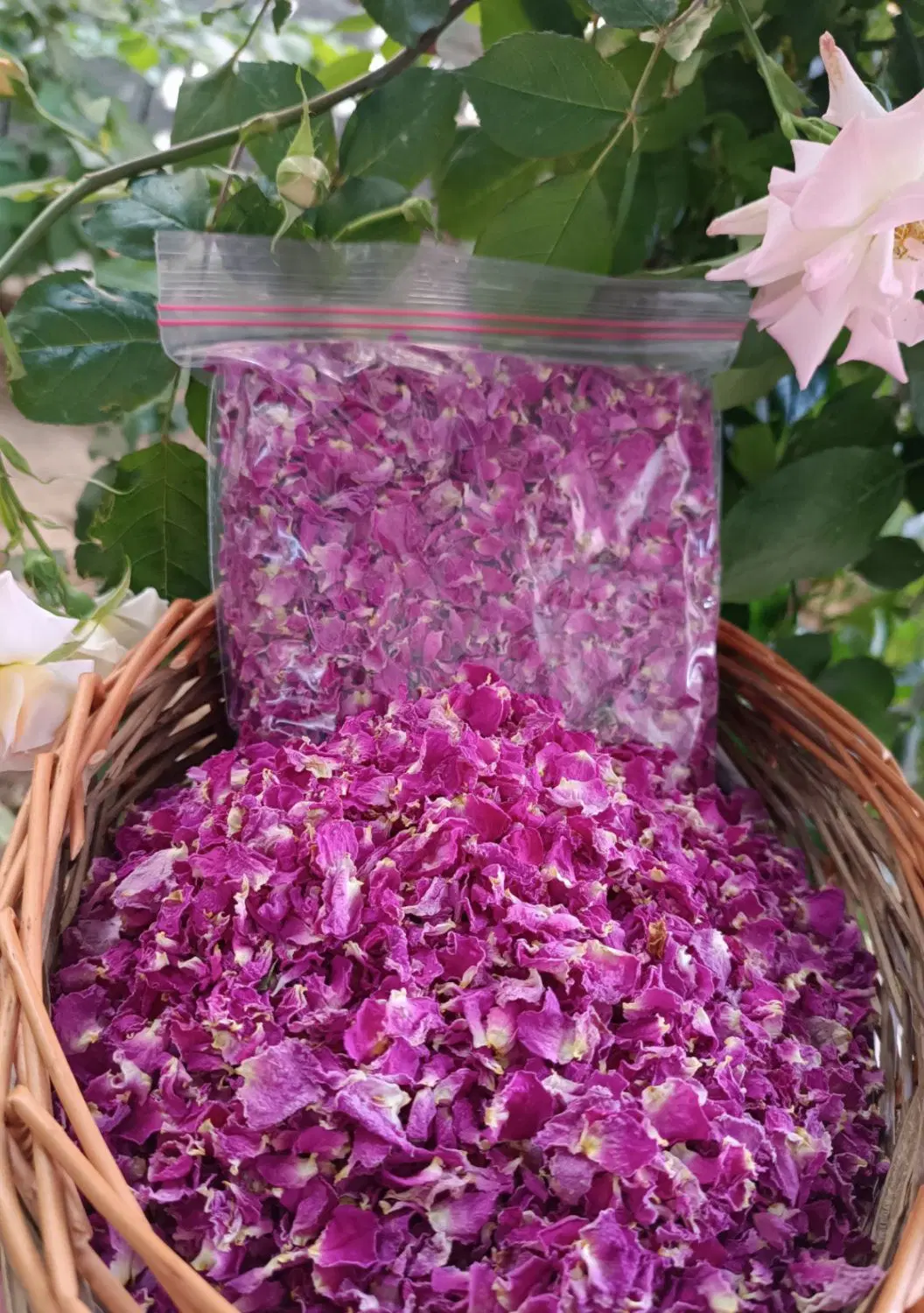 عرقیجات|خوردنی و آشامیدنی|تویسرکان, |دیوار