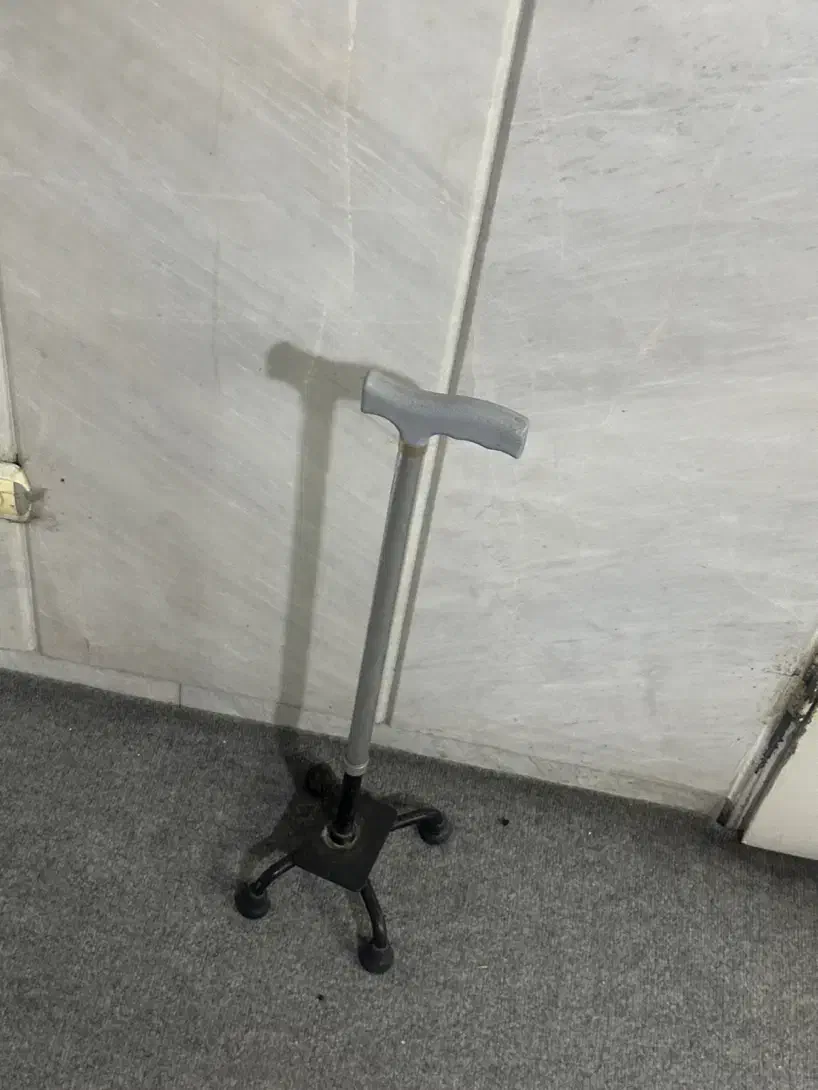 عصا چهارپا|آرایشی، بهداشتی، درمانی|مشهد, کارمندان دوم|دیوار