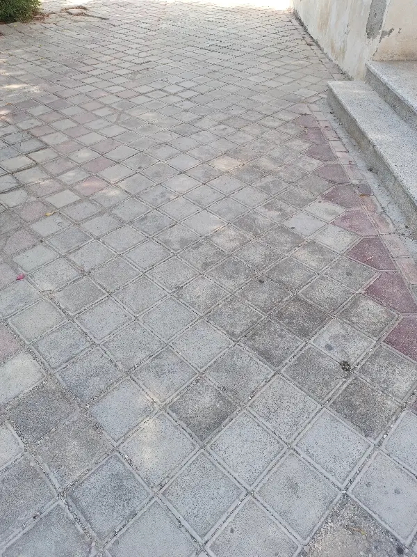 خدماتی|خدمات نظافت|بوشهر, |دیوار