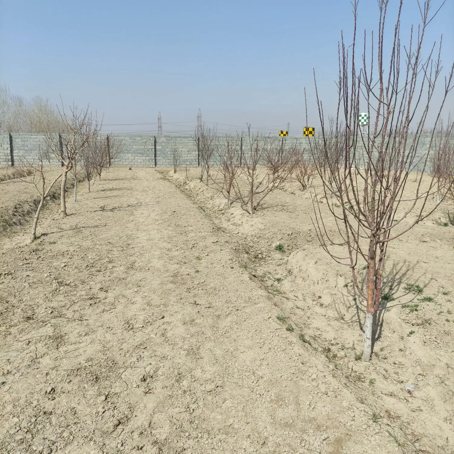 باغچه 560متری با سندتکبرگ|فروش دفتر صنعتی، کشاورزی، تجاری|رباطکریم, الارد|دیوار