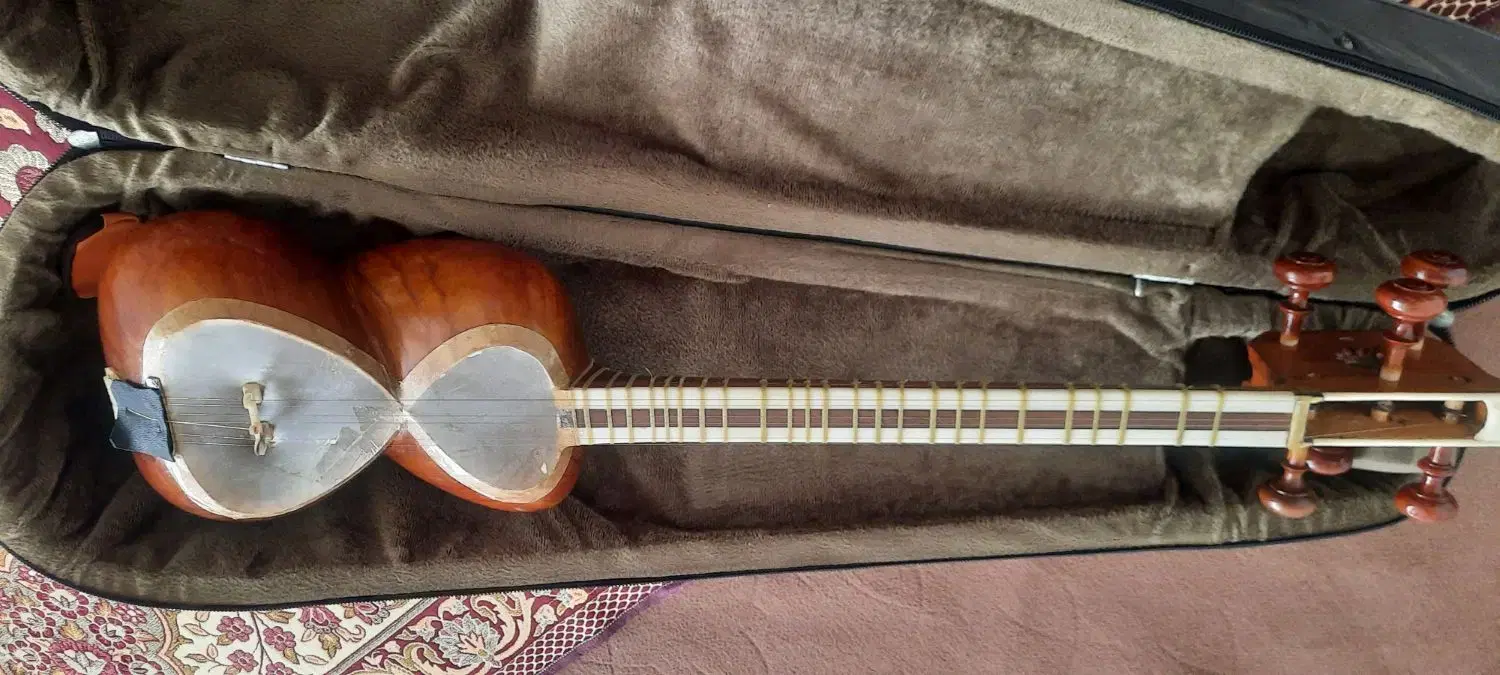 تار ۳/۴|سازهای سنتی|لنجان, |دیوار