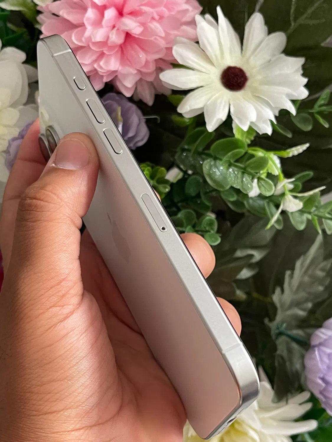 Iphone 15 pro max|موبایل|تربت جام, المهدی|دیوار
