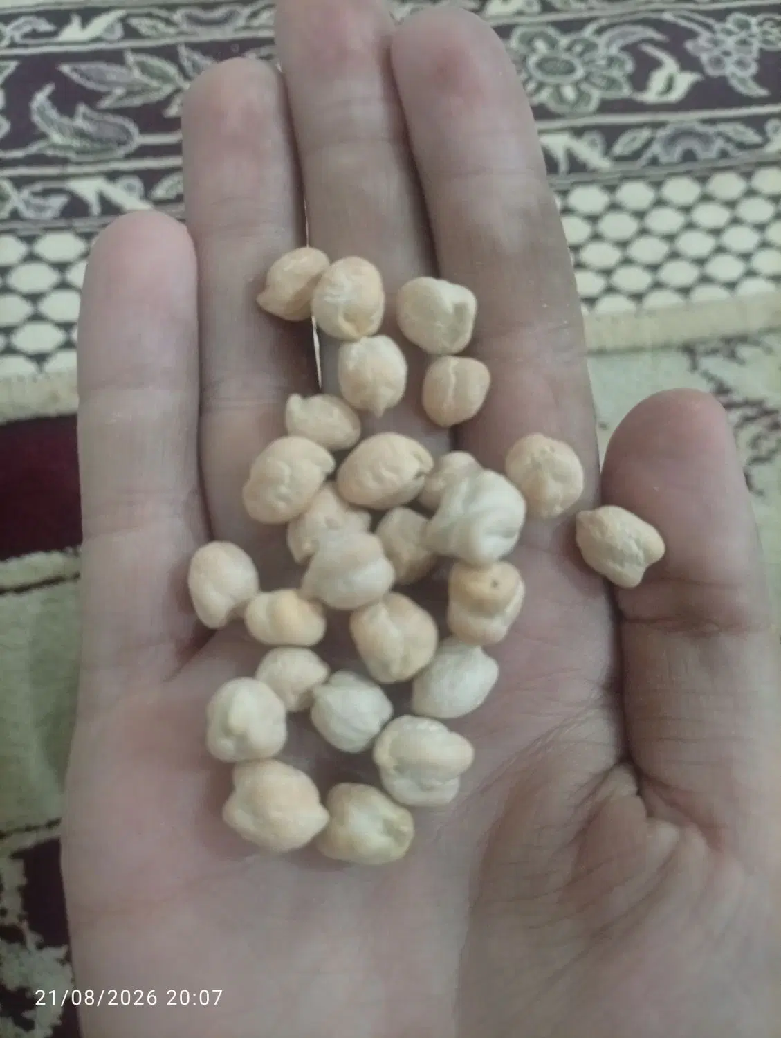 نخود|خوردنی و آشامیدنی|اشترینان, |دیوار