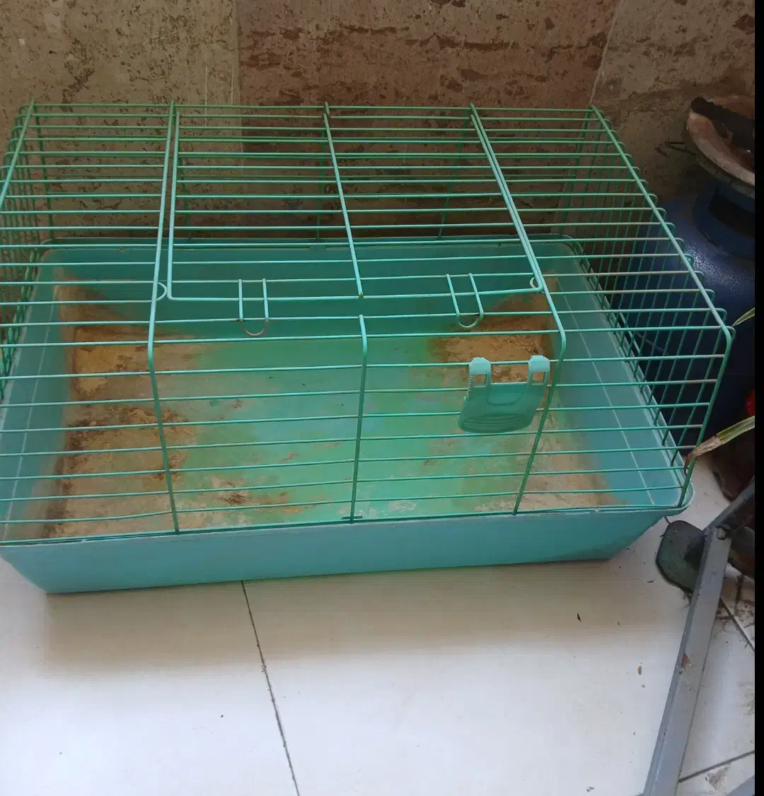 قفس|لوازم جانبی حیوانات|کرج, گوهردشت|دیوار