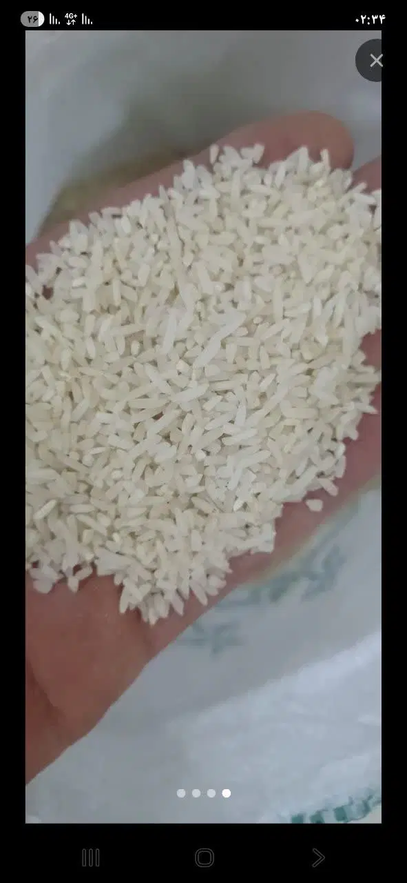 برنج|خوردنی و آشامیدنی|مشهد, شهید قربانی|دیوار