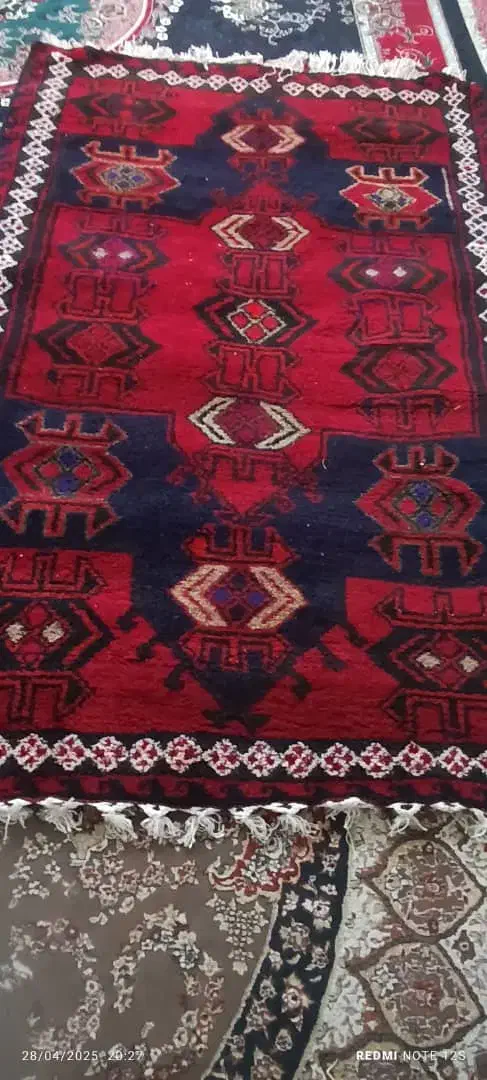 قالی|فرش|شوشتر, |دیوار