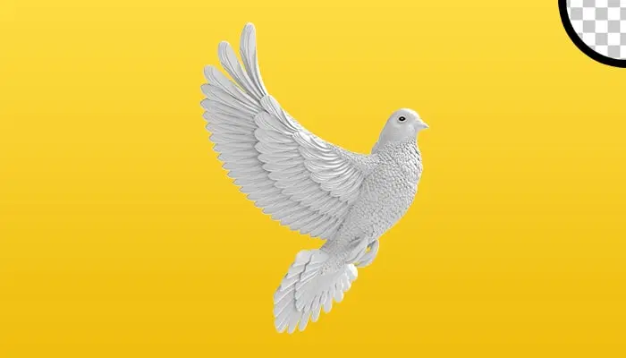 پرنده|حیوانات|اراک, |دیوار