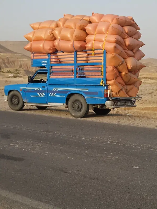 کاه|لوازم جانبی حیوانات|مسجد سلیمان, |دیوار