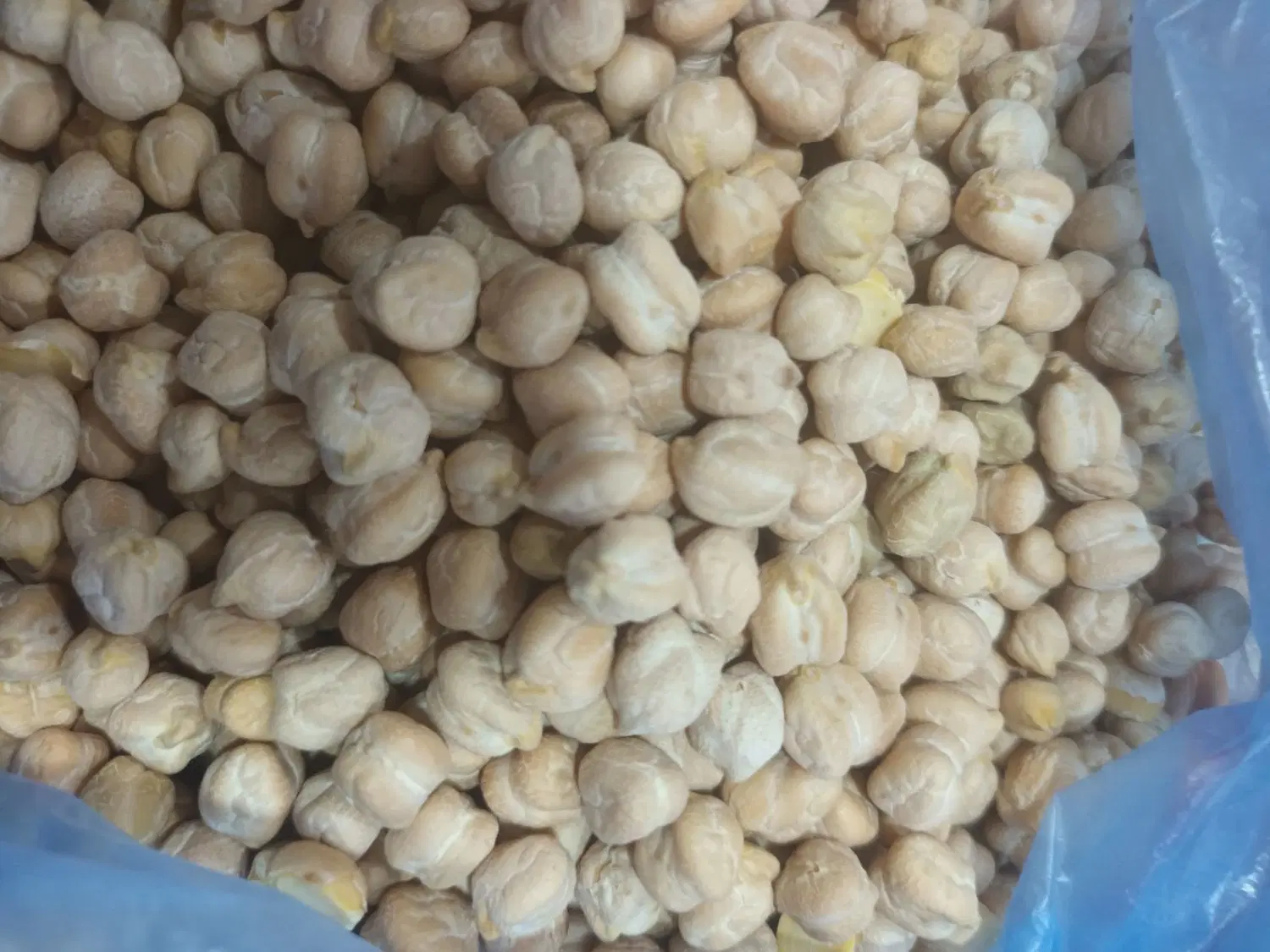 نخود|خوردنی و آشامیدنی|اندیمشک, |دیوار