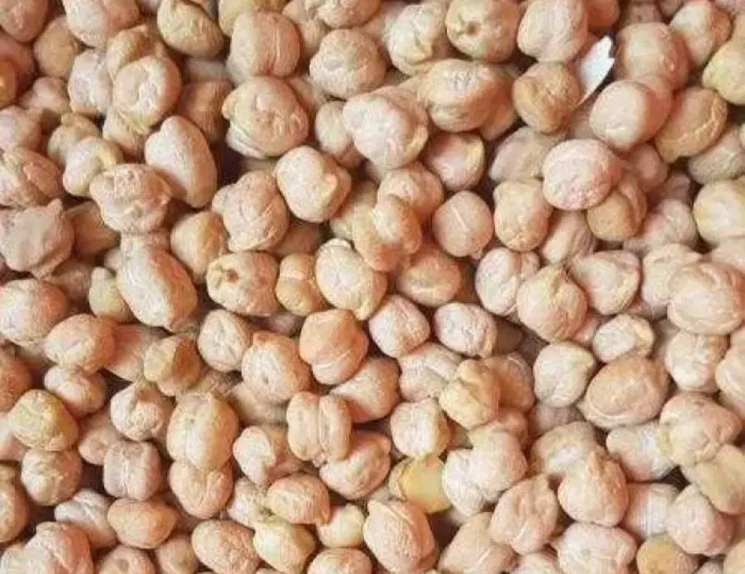 خوراک|خوردنی و آشامیدنی|رحیم‌آباد, |دیوار