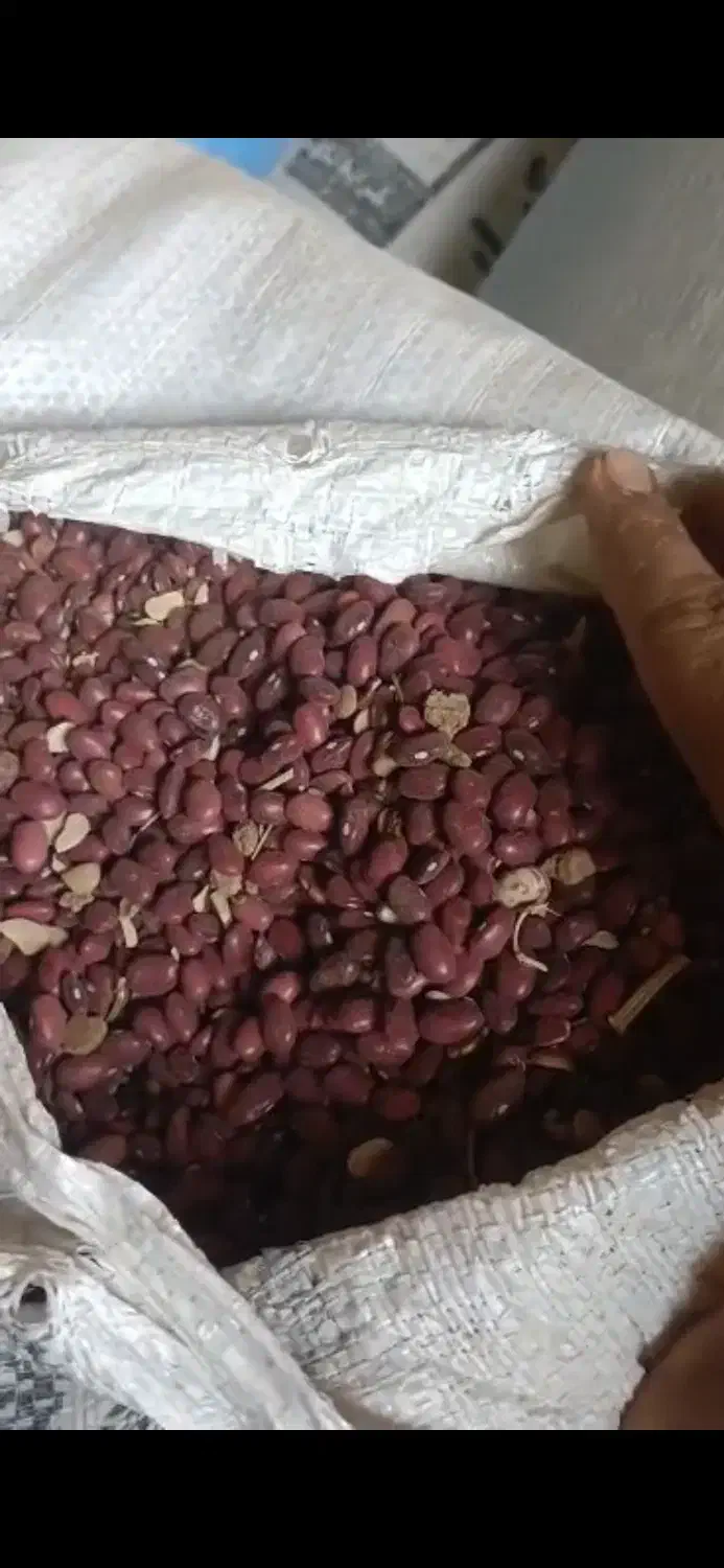 لوبیا|خوردنی و آشامیدنی|اصفهان, شاهزاده ابراهیم|دیوار