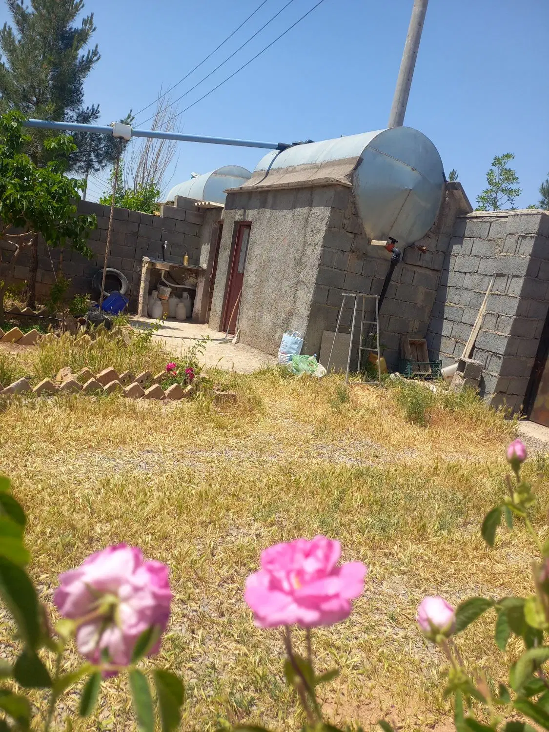 تصویر 6