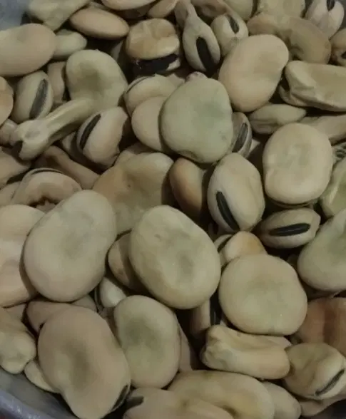 باقله|خوردنی و آشامیدنی|طرهان, |دیوار