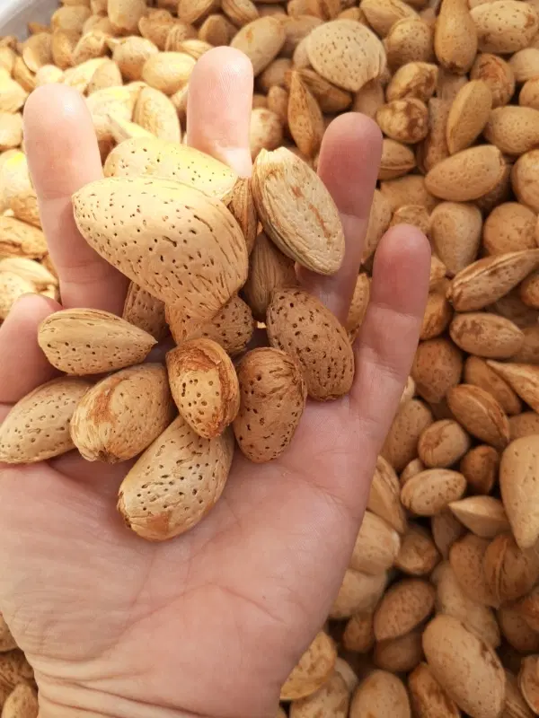 بادام|خوردنی و آشامیدنی|تبریز, |دیوار