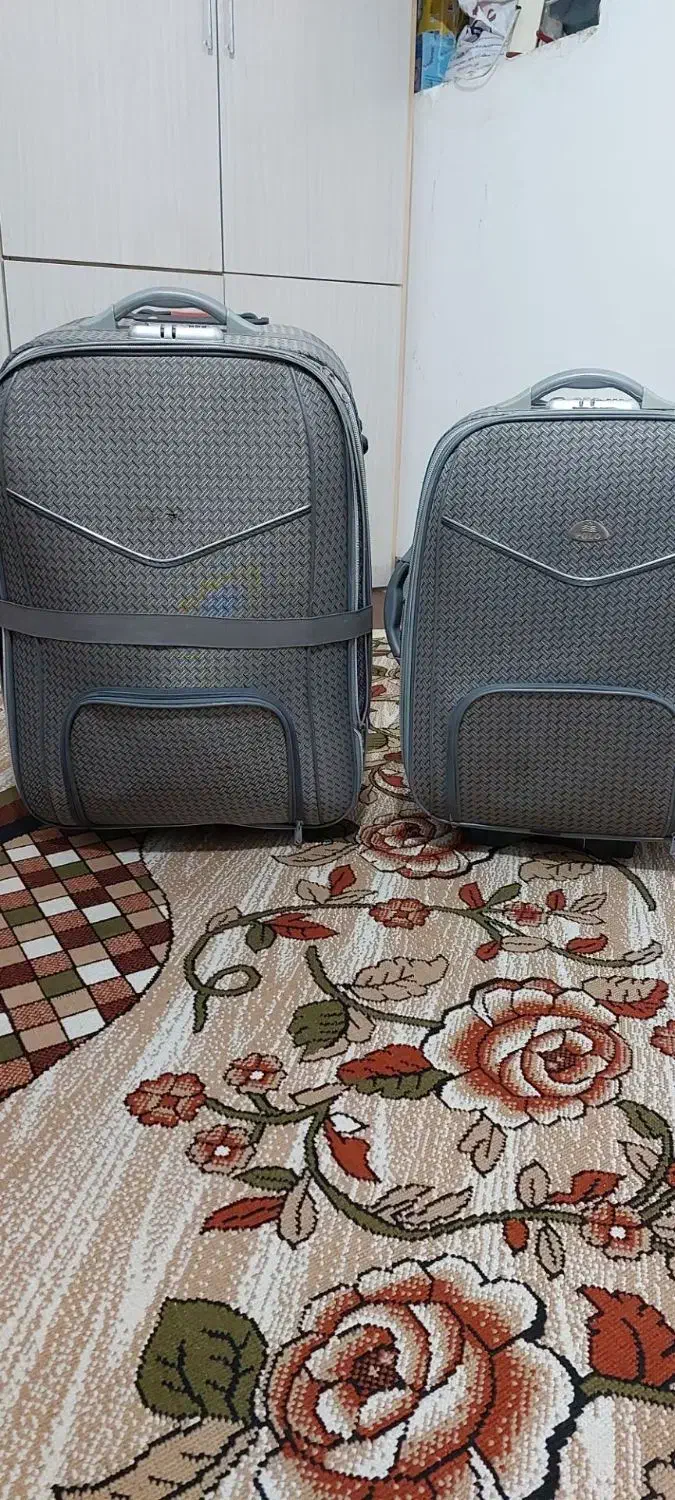 چمدان|کیف، کفش، کمربند|علی‌آباد کتول, |دیوار